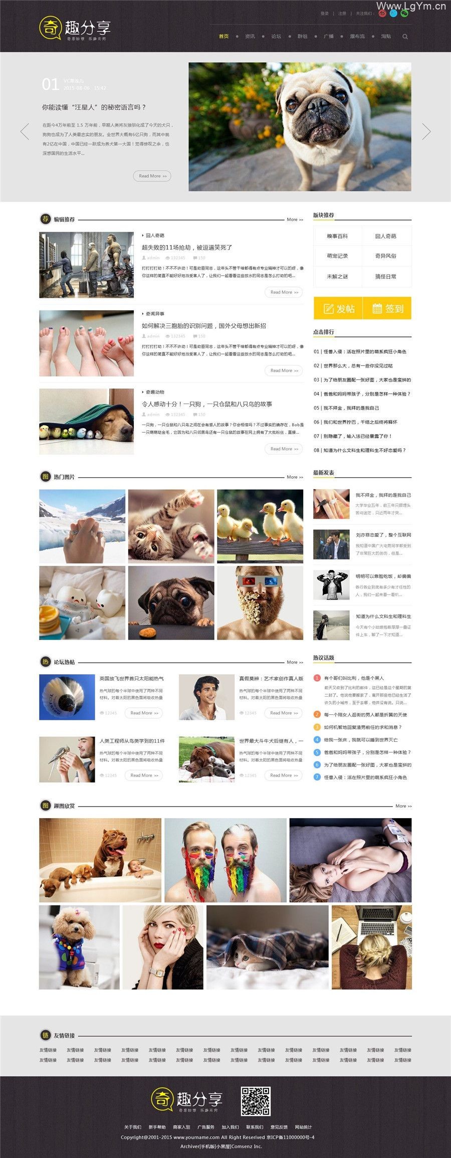 discuz模板 奇趣分享综合趣事百科文章类型-老哥源码