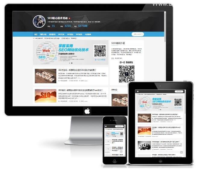 帝国cms 仿SEO培训网站新闻博客模板-老哥源码