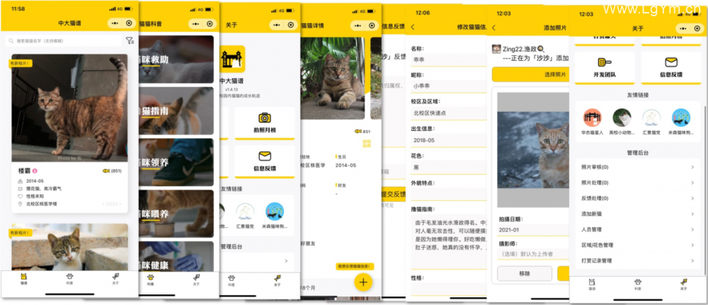 云开发校园流浪猫宠物信息登记记录和分享的微信小程序源码下载,带详细文本安装教程-老哥源码